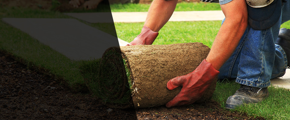 Saint Bonifacius Landscapers
